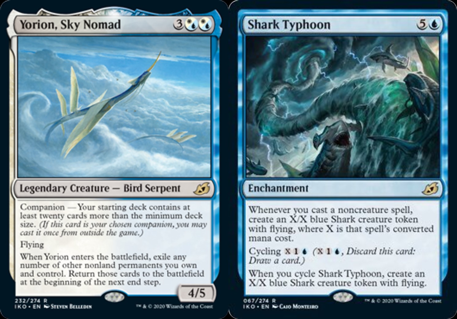 Yorion e Shark Typhoon