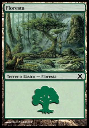 Floresta (#382)
